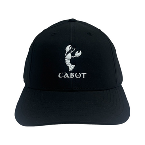 American Needle Cabot Cliffs Buxton Solid Hat